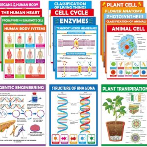Biology wall charts