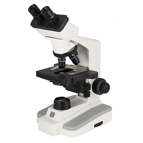 Binocular microscope