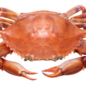 Crab