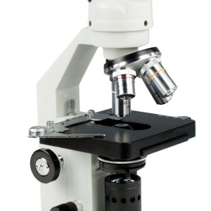 Compound Light Microscope